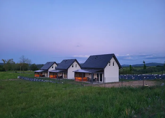 Sosnowe Wzgorze - Wypoczynek W Zagorzu Slaskim 2